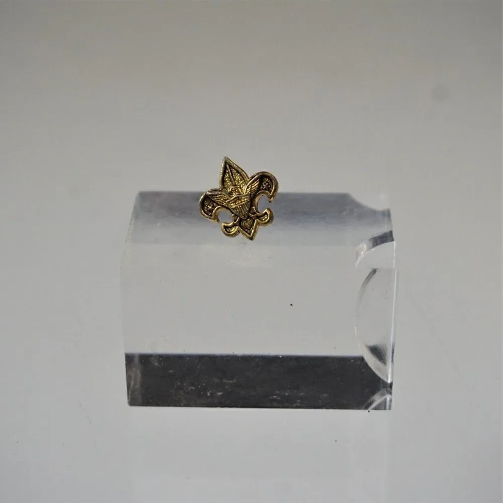 Boy Scouts of America BSA Rank Pin Tenderfoot Rank
